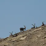 Genzianella Tano Di Grich アパート