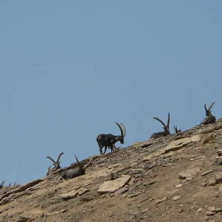 Genzianella Tano Di Grich Appartement