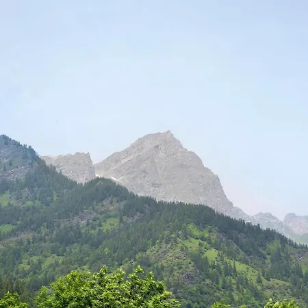 Genzianella Tano Di Grich * Cesani