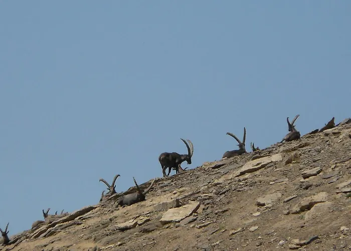Genzianella Tano Di Grich Apartamento