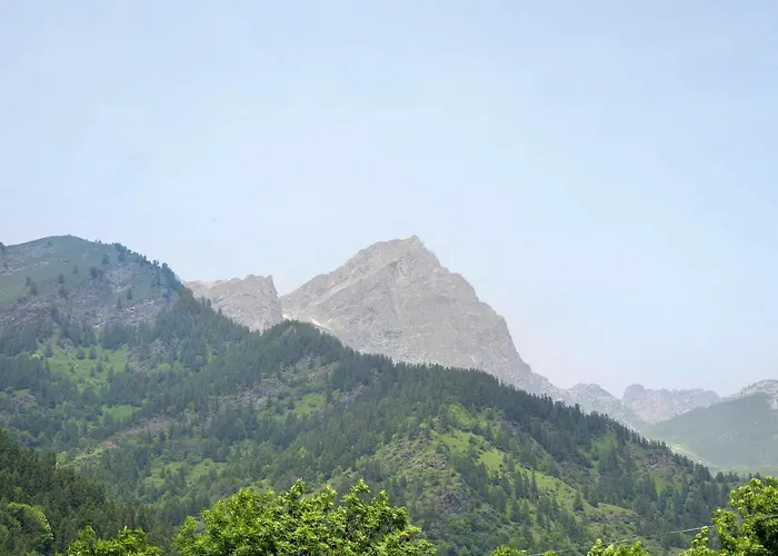 Genzianella Tano Di Grich * Cesani